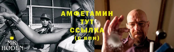твердый Арсеньев