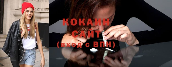 твердый Арсеньев