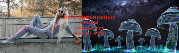 бошки Армянск